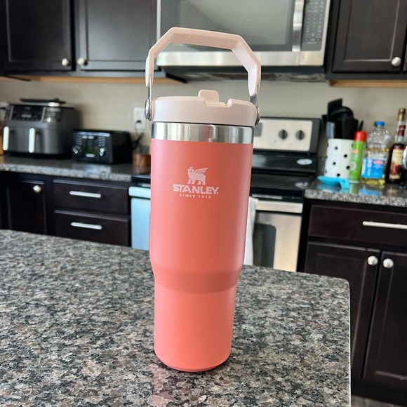 Stanley Other Stanley Iceflow Straw Tumbler Grapefruit Poshmark